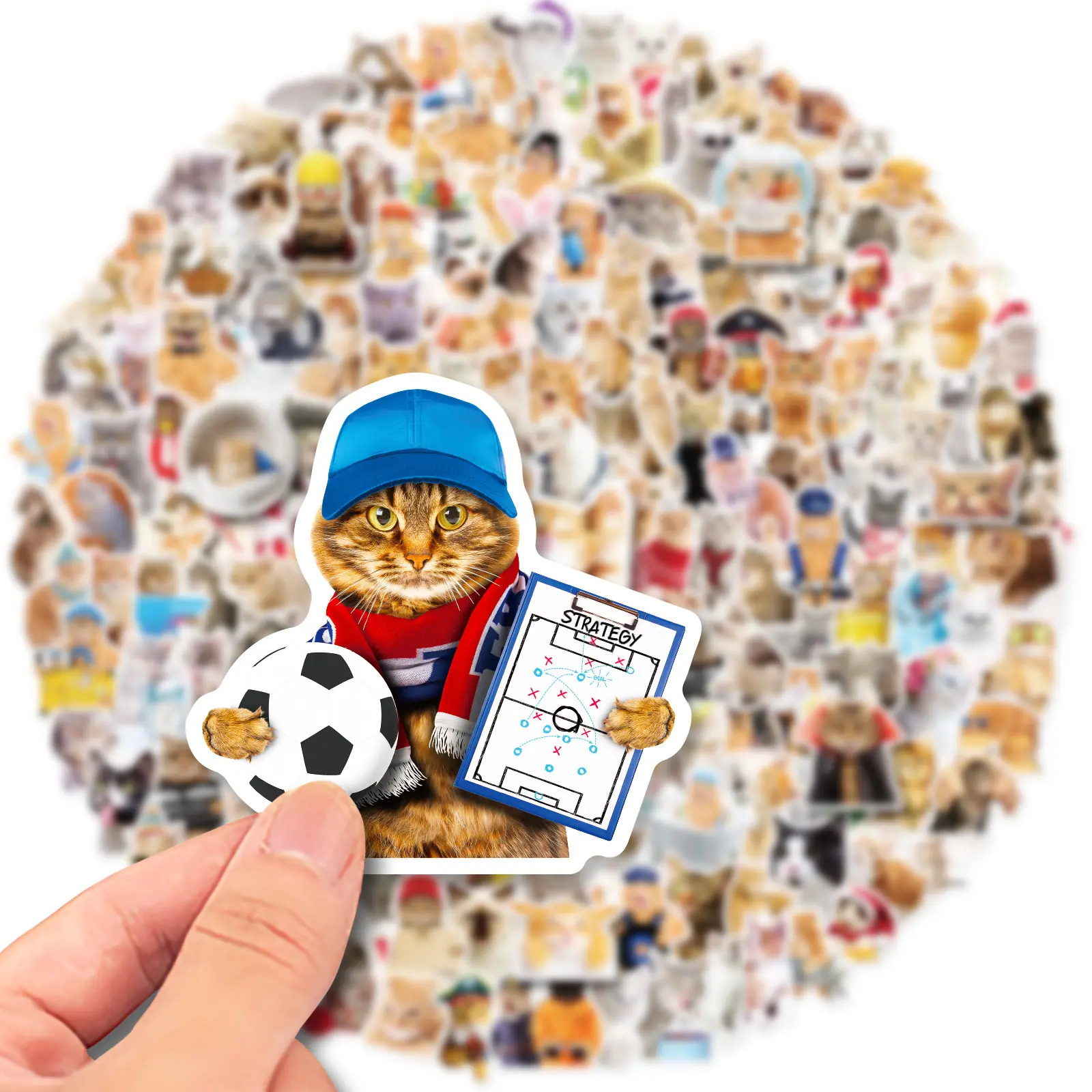主图6.jpg