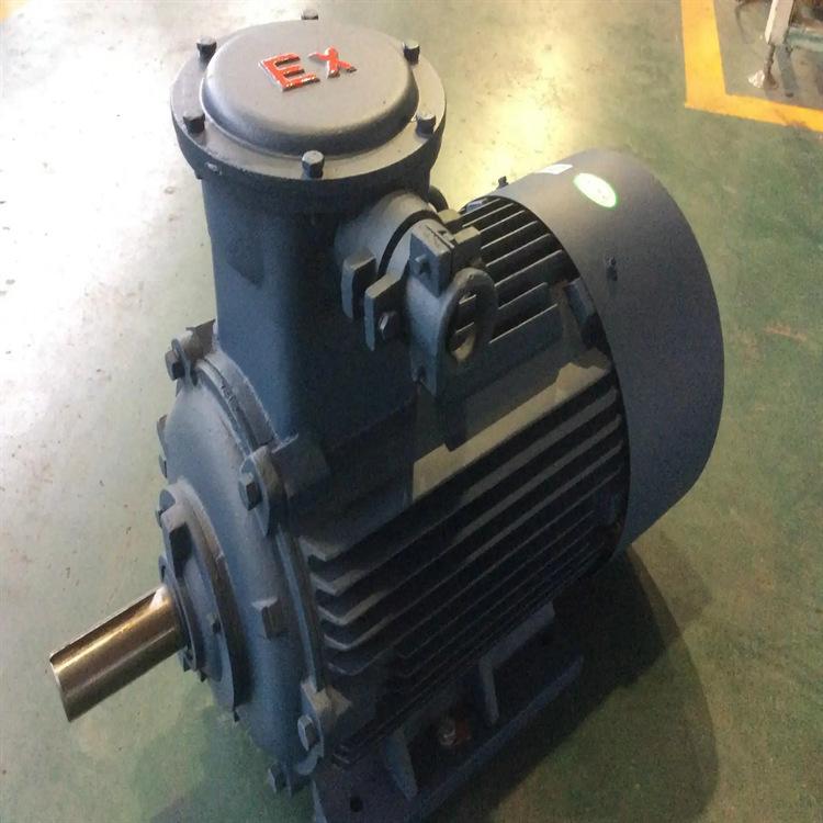 卧式防爆电机 (8)