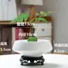 Dropshipping Temu Etiqueta Transfronteriza Sin Etiqueta Bandeja de Bergamota Retro Chino Maceta Hidropónica con Bola de Musgo Plato para Frutas Bandeja para Snacks