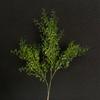 Simulação de folha de coral planta verde criptografia flor de plástico casamento flor de simulação layout salão de casamento floresta arranjo de flores planta verde
