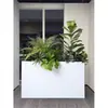 Caja de flores decoración flores y plantas arreglo floral producto terminado adorno de planta verde venta de restaurante oficina mampara canaleta de flores paisajismo biónico