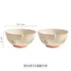 Cuenco de Cerámica Fresco y Elegante para Arroz para Uso Doméstico, Modelo Nuevo con Alto Valor Estético, Hermoso Cuenco y Plato Individual para Servir