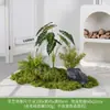 Musgo Sintético Decoración Suave para Interiores Conjunto de Micro Paisaje Combinación Exhibición en Ventana Pasillo Musgo Artificial Plantas Verdes Arreglo de Paisajismo Decoración