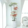 Uma geração de muda de vaso de Nantianthus de chama estaca de pensão de água flores de folha resistentes ao frio sala de estar interna pátio externo