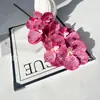 Orquídea Hidratante de 7 Cabeças com Veias Visíveis, Orquídea Borboleta para Fotografia de Estúdio, Casa, Hotel, Flores Artificiais para Comércio Exterior Transfronteiriço
