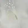 Grama de Pavão Gradiente Colorido Flor Artificial Decoração de Ano Novo Fogos de Artifício Cenário de Vitrine de Shopping Arranjo de Fundo de Casamento Arte Floral
