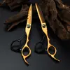 Tesouras de Cabeleireiro Sy Preto Dourado 6.0 polegadas Naipson, Tesouras de Corte de Cabelo, Tesouras Planas, Tesouras Desbastadoras