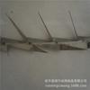 Hunan 1,25 m de comprimento Parede de Cerca Anti-escalada Spike Galvanizado Spike Nail Spray Prego de Plástico Spike