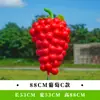 Esculturas de Frutas e Vegetais de Simulação para Exterior Fibra de Vidro Jardim Gramado Paisagem Modelos de Repolho Milho Pimenta Ornamentos Grandes