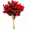 Plántulas de Azufaifo para Patio, Plantas en Maceta Cohete Rojo Americano, Flores para Patio de Villa, Plantas Verdes, Flores de Azufaifo en Maceta para Cuatro Estaciones