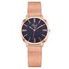 Comercio Exterior Moda Popular Reloj de Mujer Incrustado de Diamantes Reloj de Mujer Correa Milanesa Correa de Malla Reloj de Cuarzo Fabricante de Relojes de Mujer Stock Disponible