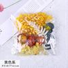 Moldura de foto de leque redondo feito à mão, flor flutuante, faça você mesmo, vela, material de relevo, bolsa, flor real, flor seca, flor mista, material faça você mesmo, bolsa