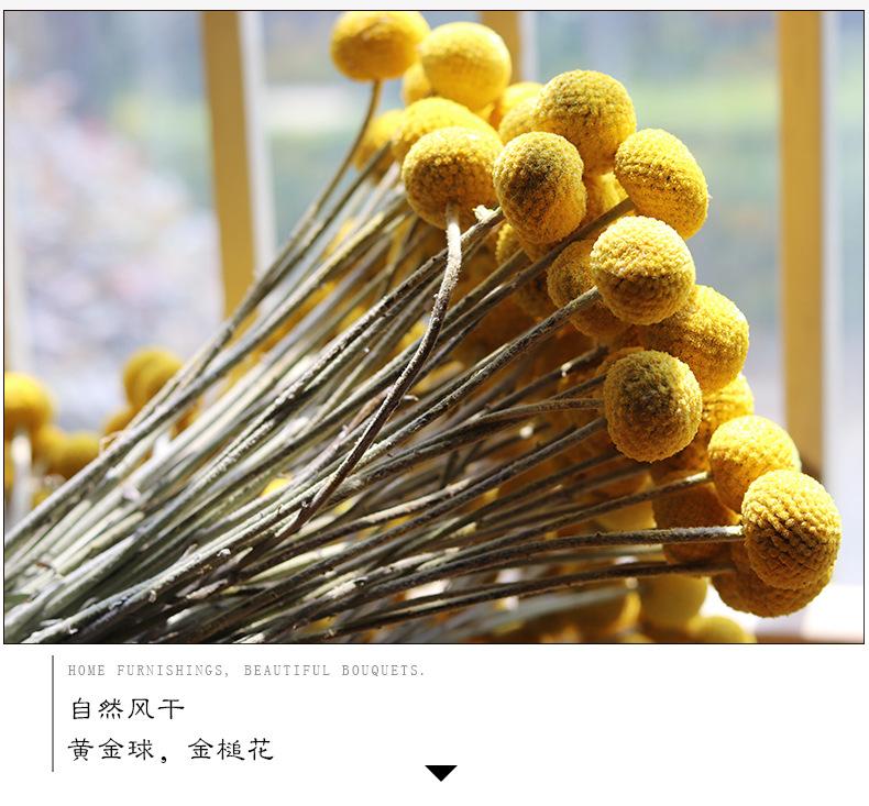 详情页2.jpg