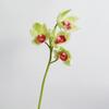 Flor de simulación orquídea de alta calidad orquídea del este orquídea 3D decoración del hogar flor huelan arreglo floral diseño para fotografía de bodas