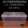 Caja de Cría para Reptiles, Caja de Cría para Geckos y Serpientes con Tapa, Caja para Crías de Gusanos de Seda, Suministros para Mascotas Rana Cornuda, Tanque para Arañas e Insectos, Tanque para Tortugas, Acuario