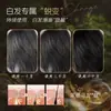Bálsamo de Tinte para el Cabello con Polipéptidos Mengliyue para Cubrir Canas, Bolígrafo de Tinte de Un Solo Uso que No se Desvanece para Raíces y Patillas