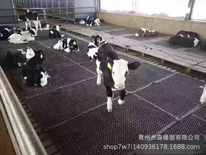 畜牧用橡胶垫
