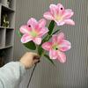 Auditório de Casamento Pequena Lírio 3D adornado com arranjo de flores balão festa floral tecido de seda macia vaso simulação flor comércio exterior