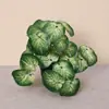 Folhas de begônia artificiais de parede, planta tartaruga miniatura, pequena planta tartaruga, folha de melancia miniatura, planta para micro paisagismo para decoração de parede, planta de folhagem verde em vaso
