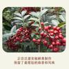 Óleo de Pimenta Sichuan Autêntico Qianjiao Todos os Sabores para Uso Doméstico, Extra Dormente e Fragrante, para Macarrão Frio, Óleo de Pimenta Verde, Tempero de Óleo de Pimenta Vine