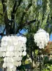 Luces para Pasillo de Boda, Accesorios Nuevos, Luces Luminosas para Pasillo con Forma de Concha, Piezas de Nácar Estilo Coreano, Decoraciones para Salón de Bodas