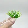 Materiais de modelo caixa de areia plantas verdes plantas em vaso modelos plantas pequenas flores e plantas paisagem fundo de plantas verdes flores e plantas plantas modelos