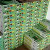 Carpeta de Almacenamiento de Oficina Personalizada A4 Colgante Trabajo Rápido Fácil de Sacar Archivos Colorida Carpeta Colgante Clip para Tablero Colgante