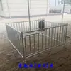 Corral de engorde corral de cerdos corral para cerdos ovejas usar corral de pie seleccionar tubo de acero galvanizado en caliente montaje simple conveniente de usar