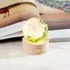 Suministro Transfronterizo Bola de Cristal de Resina Incrustada Luz Nocturna Flor Eterna Base de Madera Maciza Tallada en 3D Luminosa Regalo de Cristal