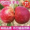 Maçã Feia Coração de Doce de Yunnan 9 jin Fruta Fresca da Estação Autêntica Zhaotong Crocante Doce Fuji Vermelho Maçã Fruta Grande Caixa Inteira 3