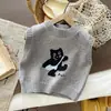 Chaleco de punto suave en capas para hombre, primavera 2026, suéter sin mangas bordado de gato de nicho, chaleco elegante y versátil