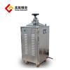 Esterilizador de vapor eléctrico automático Xinfeng XFH-100CA de Zhejiang