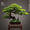 Novo Bonsai Artificial Estilo Chinês Inspirado em Zen Pinheiro Acolhedor e Pinheiro Arhat para Decoração de Escritório, Sala de Estar e Hall de Entrada