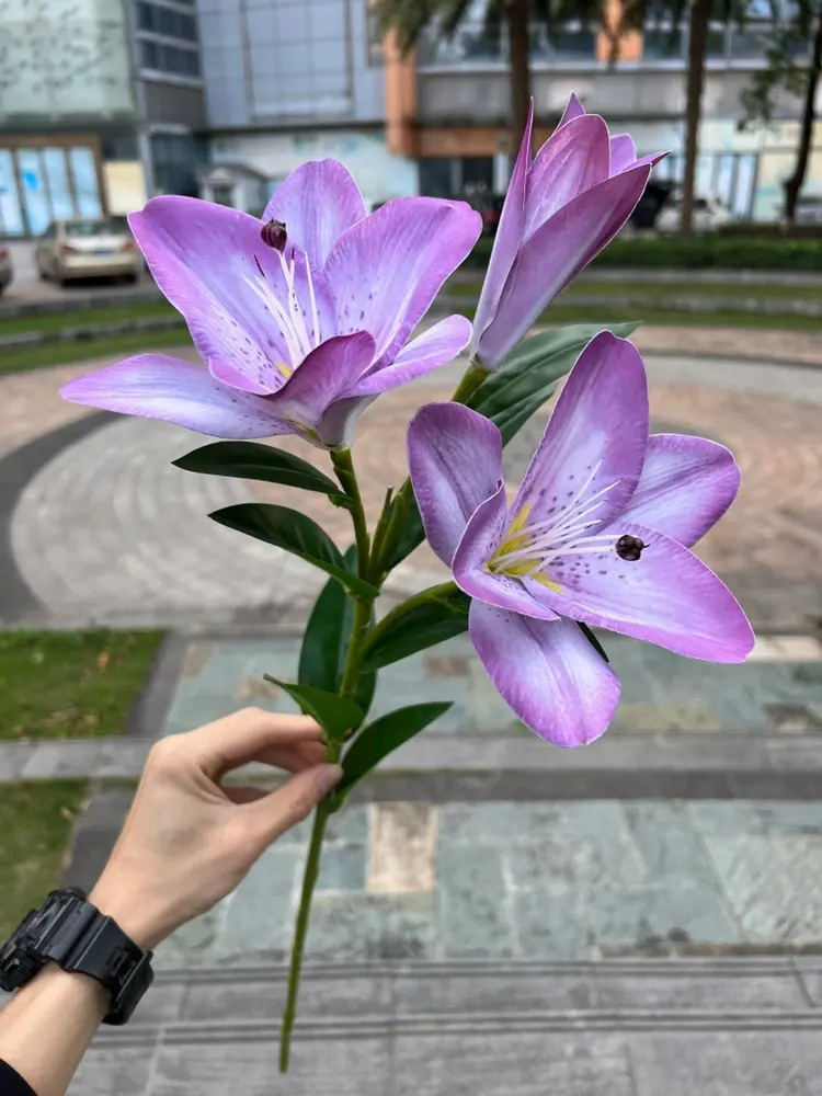 微信图片_20240707135433.jpg