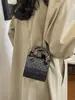 Colección de otoño 2026 transfronteriza: bolsos de noche de estilo europeo y americano, modernos y a la moda, diseños versátiles y únicos, bolsos de hombro y bolsos cruzados