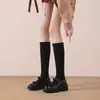 Botas de cano alto com laço e sola grossa, salto grosso, meias elásticas modeladoras, sapatos femininos estilosos e versáteis novos para outono/inverno 2026