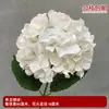 Decoração de Casamento com Flores Brancas, Peônias, Phalaenopsis, Rosas, Arranjos Florais de Teto e Arranjos Florais Pretos para o Salão de Casamento