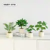 Plantas Verdes, Vasos Pequenos, Árvore da Fortuna Semelhante para Mesas de Escritório Internas, Mesas de Centro de Sala de Estar, Flores Artificiais e Arranjos Florais