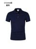 190g 40 Unidades Gelo Íon Cor Sólida Colarinho de Camisa Manga Curta Camisa Polo Logotipo Personalizado Estampado Uniforme de Classe Camisa Cultural Confortável