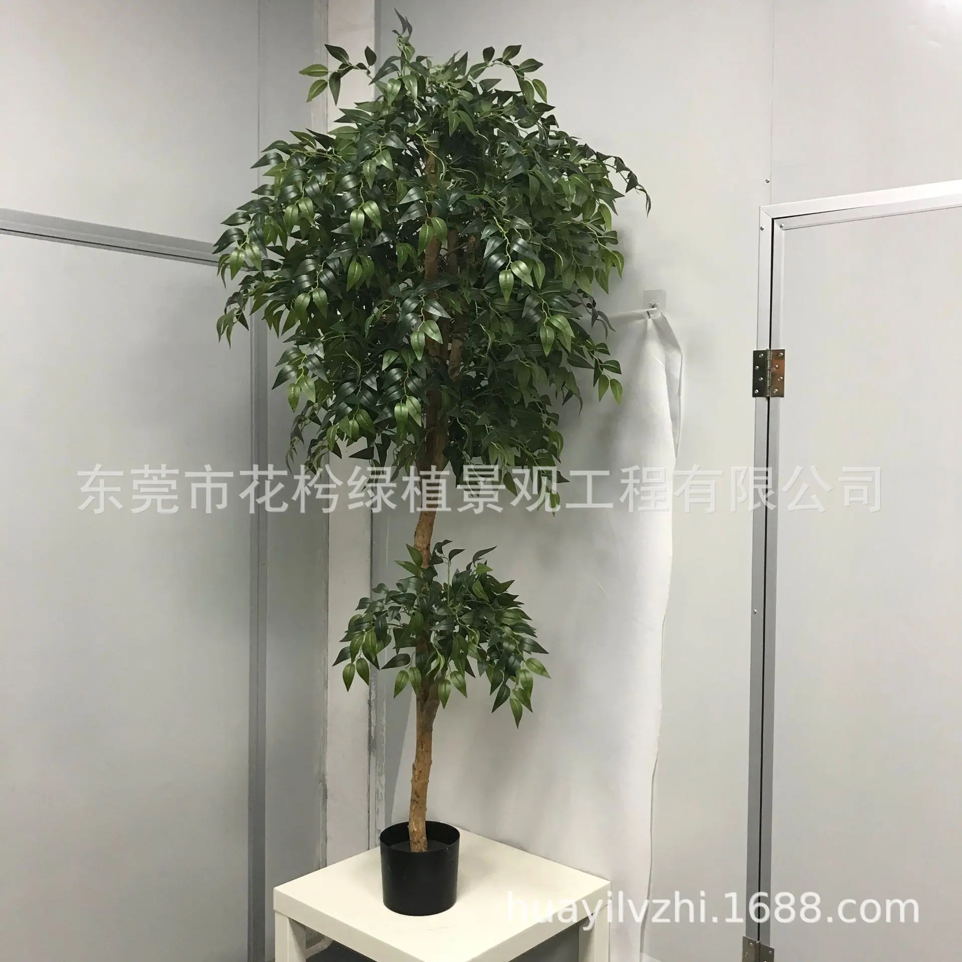 微信图片_202105280944534