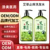 Champú de Ajenjo Procesamiento OEM Personalizado Limpieza Control de Grasa en el Cuero Cabelludo Eliminación de Ácaros Anticaspa Champú Antirritación
