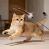 Juguete Nuevo para Gatos Palo de Plumas de Cola de Faisán Natural Palo de Plumas de Cola de Pavo Grado de Competición Juguete de Plumas para Entretenimiento Propio del Gato Duradero
