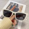 Nuevas Gafas de Sol Cat-Eye Europeas y Americanas Transfronterizas para Hombres y Mujeres, Estilo de Alta Gama para Vacaciones en la Costa, Gafas de Sol Antirreflejos y Anti-UV