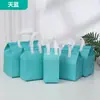 Bolsas Aislantes de Papel de Aluminio para Llevar Simples, Material Personalizado, Bolsas Espesadas para Empaque de Té de Leche, Bolsas de Tote para Catering de Pasteles al por Mayor