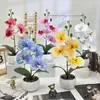 Flor de Falanopsis de Cuatro Flores Piedra de Flor de Lluvia Bonsái Película de Impresión 3D Flor Artificial Adornos de Planta en Maceta Decoración de Escritorio de Oficina Flor Artificial
