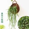 Venta al por mayor de macetas tejidas para colgar en la pared, cesta de bambú para colgar en la pared, cesta de flores para balcón, cesta de ratán para colgar en la pared, cesta de bambú