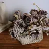 Jarrón de Cerámica Morado Rosa Simulado, Estilo Minimalista Moderno, Lujo Ligero, Adorno de Decoración de Oficina en Casa de Gama Alta