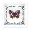 Espécime de Borboleta Real Decoração de Casa DIY Moldura de Madeira para Fotos Suprimentos de Pintura Decorativa Avançada Presente Moderno Presente Criativo