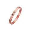 Pulsera de Acero Inoxidable para Mujer de Joyería Transfronteriza, No se Desvanece, Moderna, Lujo Ligero, de Nicho, Circonita Estrellada, Pulsera de Acero de Titanio para Mujer
