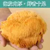Hongos Orgánicos Secos Hericium Erinaceus para Sopa, Gordos y Tiernos, Producto Agrícola Directo de Fábrica, Venta al por Mayor y Dropshipping